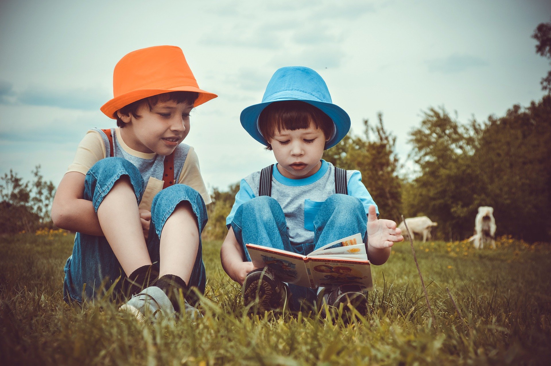 Kinder lesen auf einer Wiese